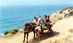 Excursi�n a la playa de Las Palomas